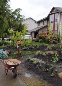 A rain garden installed with the help of Stewardship Partners is nearly complete. The garden catches pollutants in water run-off before it reaches the storm drains and local waterways.