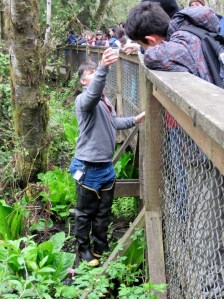 Students learn about salmon and the impacts of surface water pollution during an event at the West Hylebos Wetlands Park in years past.