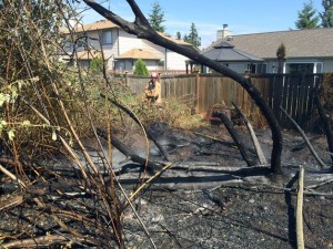 A firefighter helps to douse a fire that started behind the BPA trail and quickly spread to a wooden fence along residents' backyards on Monday.