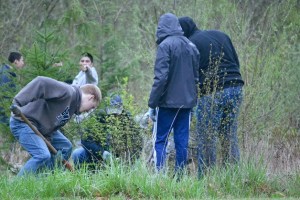 Volunteers clear the West Hylebos Wetlands of invasive blackberry plants on Saturday.
