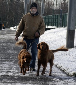 Federal Way resident Ken Wilcox walks his dogs Beau and Annie in Celebration Park on Wednesday afternoon. Snow and some ice were scattered across the park's grounds for most of the day.