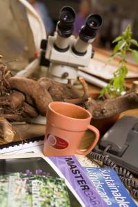 South King County residents interested in becoming Washington State University Master Gardeners are invited to an orientation meeting at 7 p.m. on Wednesday