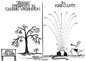 How King County fares during drought emergency elsewhere