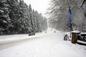 A scene along 1st Avenue South near the Cove Apartments on Wednesday