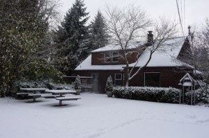 Snow draped Federal Way this past week