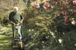 Monte Powell hedges one of eight gardens Monday at PowellsWood gardens in preparation for the Buds and Blooms garden festival coming this Mother’s Day weekend. Check out a special insert inside today’s Mirror that features a map and schedule of events.