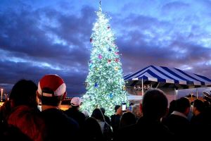 City of Federal Way invites community to holiday tree lighting Dec. 3