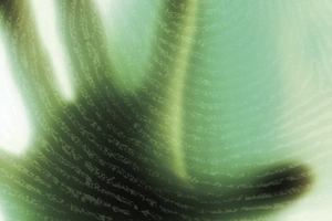 Federal Way woman claims employer King County Metro conducted ‘unfair’ investigation