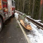 Federal Way boy dies in crash near Lake Crescent