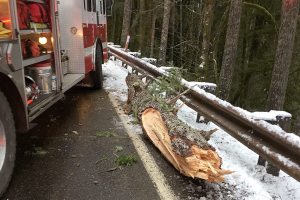 Federal Way boy dies in crash near Lake Crescent