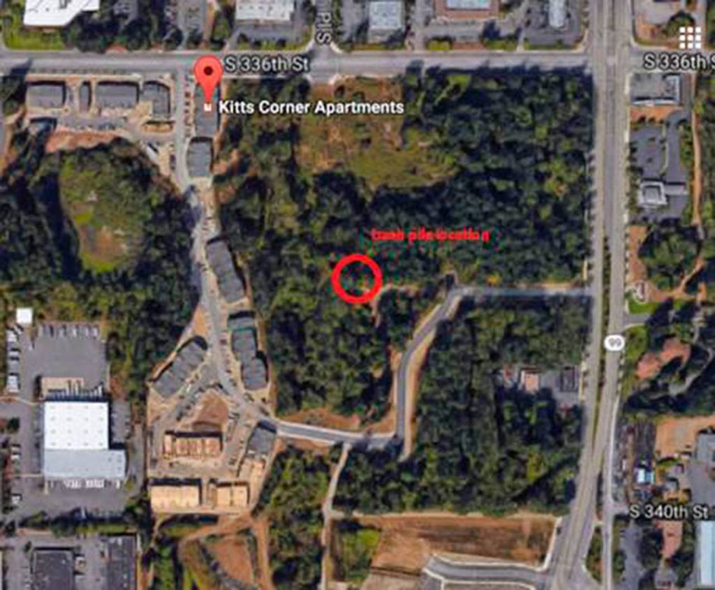 The location of the fire. Courtesy of South King Fire and Rescue