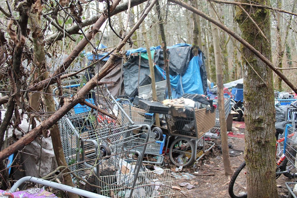 A homeless encampment in Federal Way has shopping carts stacked around a tarp-made structure. RAECHEL DAWSON, the Mirror