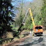 City staff work to clear out trees caused by a mudslide that originated on a hillside on private property off of Southwest Dash Point Road last week. A guard rail was also pushed off the road in the incident. Courtesy city of Federal Way