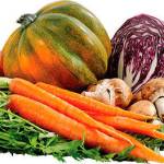 Camelot Elementary to receive garden grant