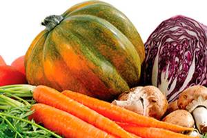 Camelot Elementary to receive garden grant