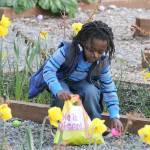 Easter egg hunting fun