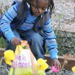 Easter egg hunting fun