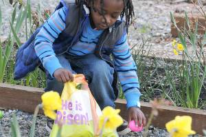 Easter egg hunting fun