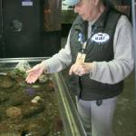 Federal Way resident Kay Vallejo points to anemone&rsquo;s in one the Marine Science and Technology Center aquarium&rsquo;s touch tanks. Vallejo recently reached a milestone by earning her 5,000 hour as a volunteer at MaST on Redondo Beach in Des Moines. Jessica Keller, the Mirror                                Federal Way resident Kay Vallejo points to anemone&rsquo;s in one the Marine Science and Technology Center aquarium&rsquo;s touch tanks. Vallejo recently reached a milestone by earning her 5,000 hour as a volunteer at MaST on Redondo Beach in Des Moines. Jessica Keller, the Mirror