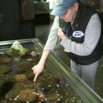 Citizen of the Month: Volunteering at MaST Center keeps Federal Way woman young