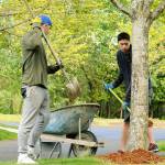 Volunteers place bark around the base of a tree during a previous year&rsquo;s Parks Appreciation Day in Federal Way. The city hosts the event every spring where residents help prepare local parks for summer. This year, Parks Appreciation Day is April 22. Photo courtesy city of Federal Way