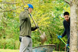 Federal Way seeking volunteers for Parks Appreciation Day