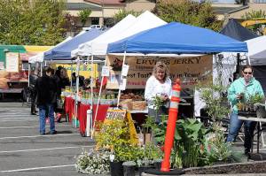 14th annual Federal Way Farmers Market begins season | Photos