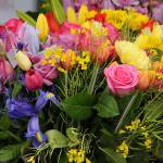 14th annual Federal Way Farmers Market begins season | Photos