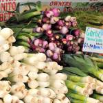 14th annual Federal Way Farmers Market begins season | Photos