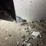 Lightning strikes Federal Way apartments