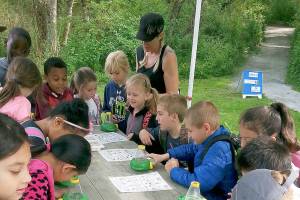 Federal Way students will storm the sound with salmon at educational events