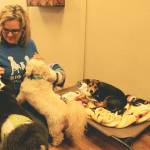Big Dog Little Dog Daycare & Boarding owner Carly Lenoir plays with dogs in her charge at her new business at 32700 Pacific Highway S., Suite 4, Federal Way. JESSICA KELLER, the Mirror