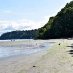 Dash Point State Park&rsquo;s 398 acres of forest creep up to a sandy beach on Puget Sound. The park&rsquo;s 11 miles of hiking trails, eight of which are available to bicyclists, are a haven from a growing suburban city that&rsquo;s cut through by Pacific Highway and Interstate 5. Raechel Dawson, the Mirror