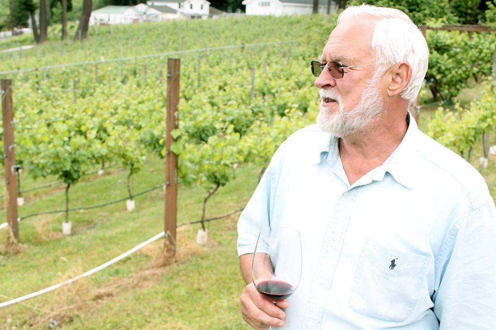 Vilnis Kleper gazes out at his vineyard in Federal Way. Abbe Vineyard and Winery is seeking a permit from the city to open a tasting room. Andy Hobbs, the Mirror