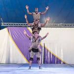 Courtesy American Crown Circus