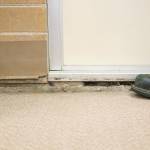 Federal Way City Council supports district school facilities bond