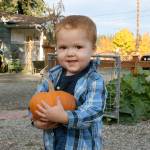 Matthew McKell, 2, of Federal Way, holds a pumpkin he picked out at the Light of Christ Community Garden on Monday afternoon. HEIDI SANDERS, the Mirror