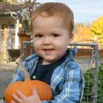 Light of Christ Community Garden hosts annual pumpkin patch fundraiser