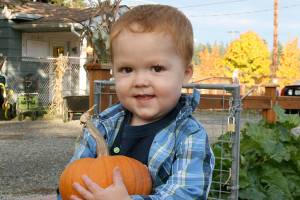 Light of Christ Community Garden hosts annual pumpkin patch fundraiser