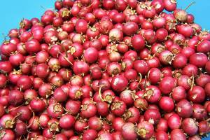Cranberry products not reliable for UTI treatment, doctor says