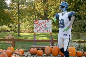 Light of Christ Community Garden pumpkin patch runs through Oct. 31 | Federal Way calendar