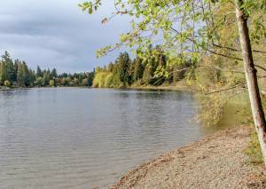 North Lake sits to the east of Weyerhaeuser Way South and is the watershed for the east Hylebos Creek. Contributed photo