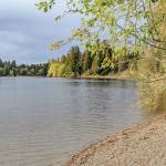 North Lake sits to the east of Weyerhaeuser Way South and is the watershed for the East Hylebos Creek. Contributed photo