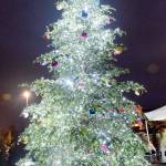 Federal Way hosting annual tree lighting