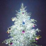 Federal Way hosting annual tree lighting