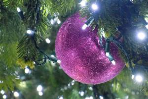 Jingle Bell Brunch coming up at Federal Way Community Center