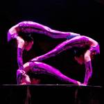 Performers from the Golden Dragon Acrobats will take the stage at the Federal Way Performing Arts and Event Center on Jan. 12. Contributed photo