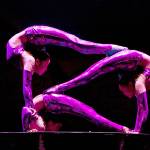 Golden Dragon Acrobats to perform at Federal Way PAEC on Jan. 12