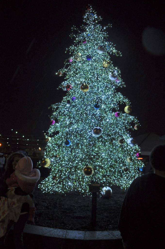 The Christmas tree at Town Square Park boasts more than 27,000 lights. Heidi Sanders, the Mirror