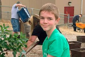 LDS families unite to serve Federal Way community with projects